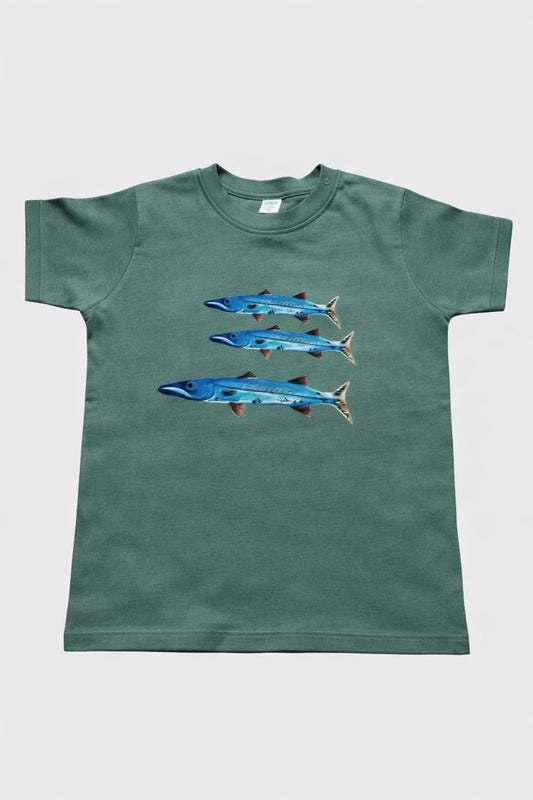 Baby Barracudas