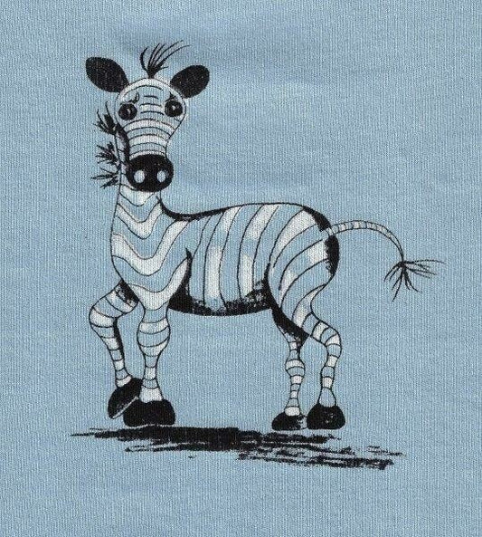 Baby Zebra