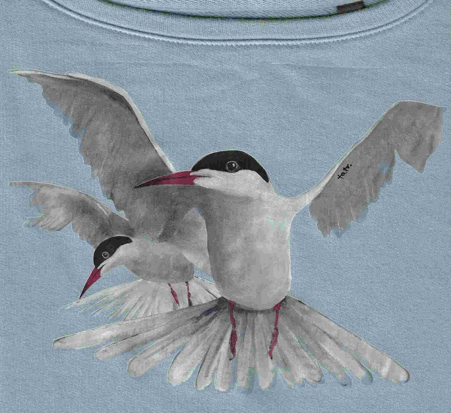 Kuschelpulli Fluss-Seeschwalben